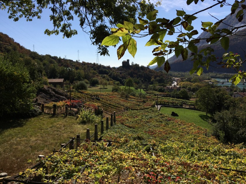 oct 09 pont st martin to ivrea 35